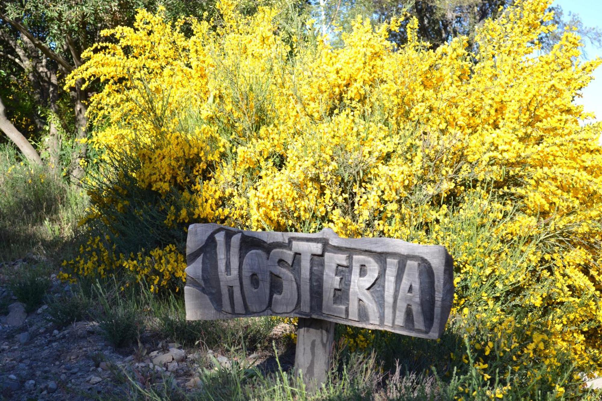 Sieteflores Hosteria De Montana San Martín de los Andes 外观 照片